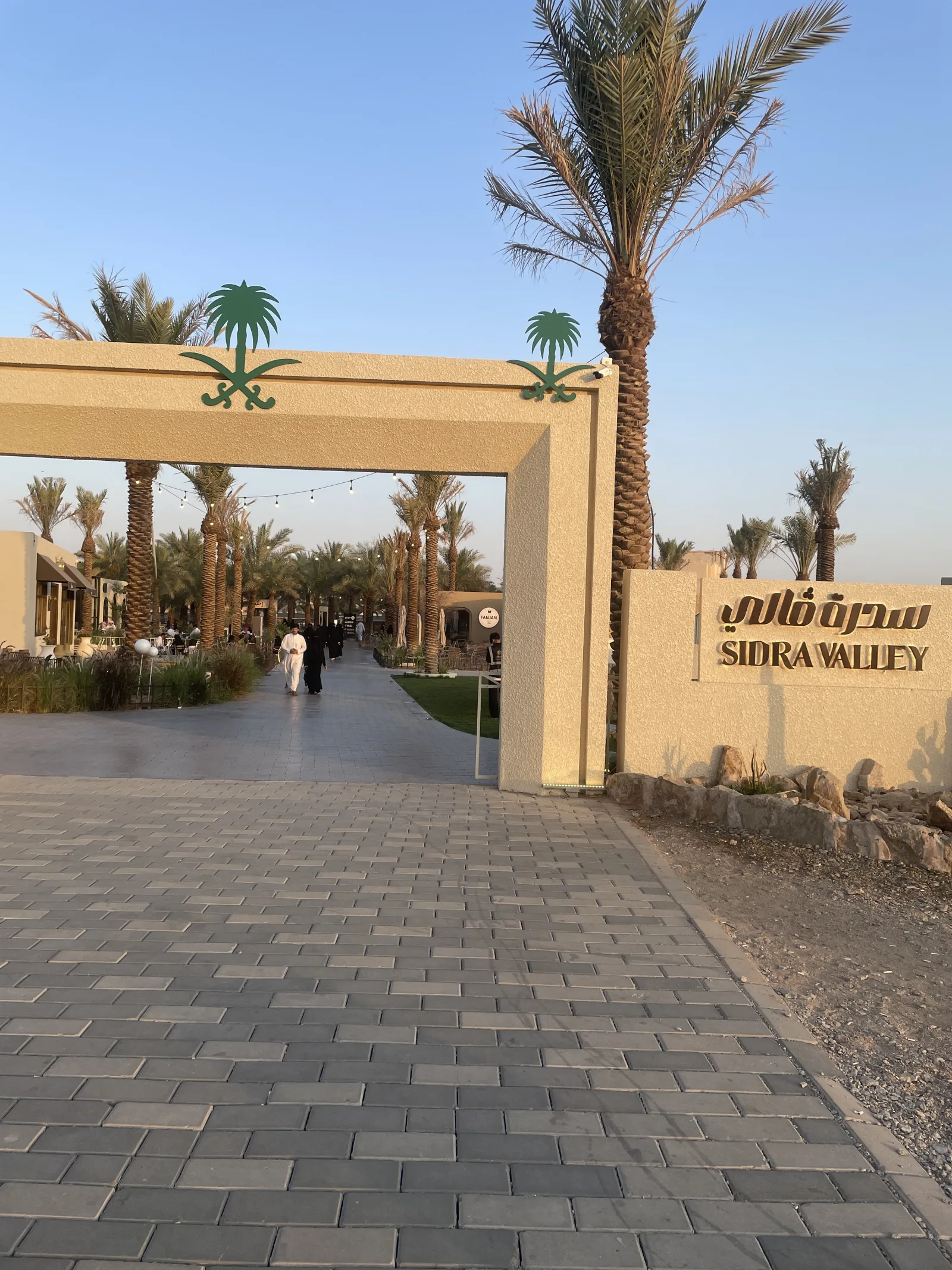 سدرة ڤالي