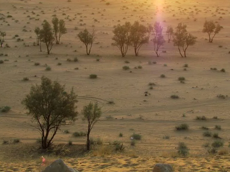 Qassim National Park