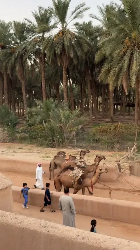 جادة السواقي