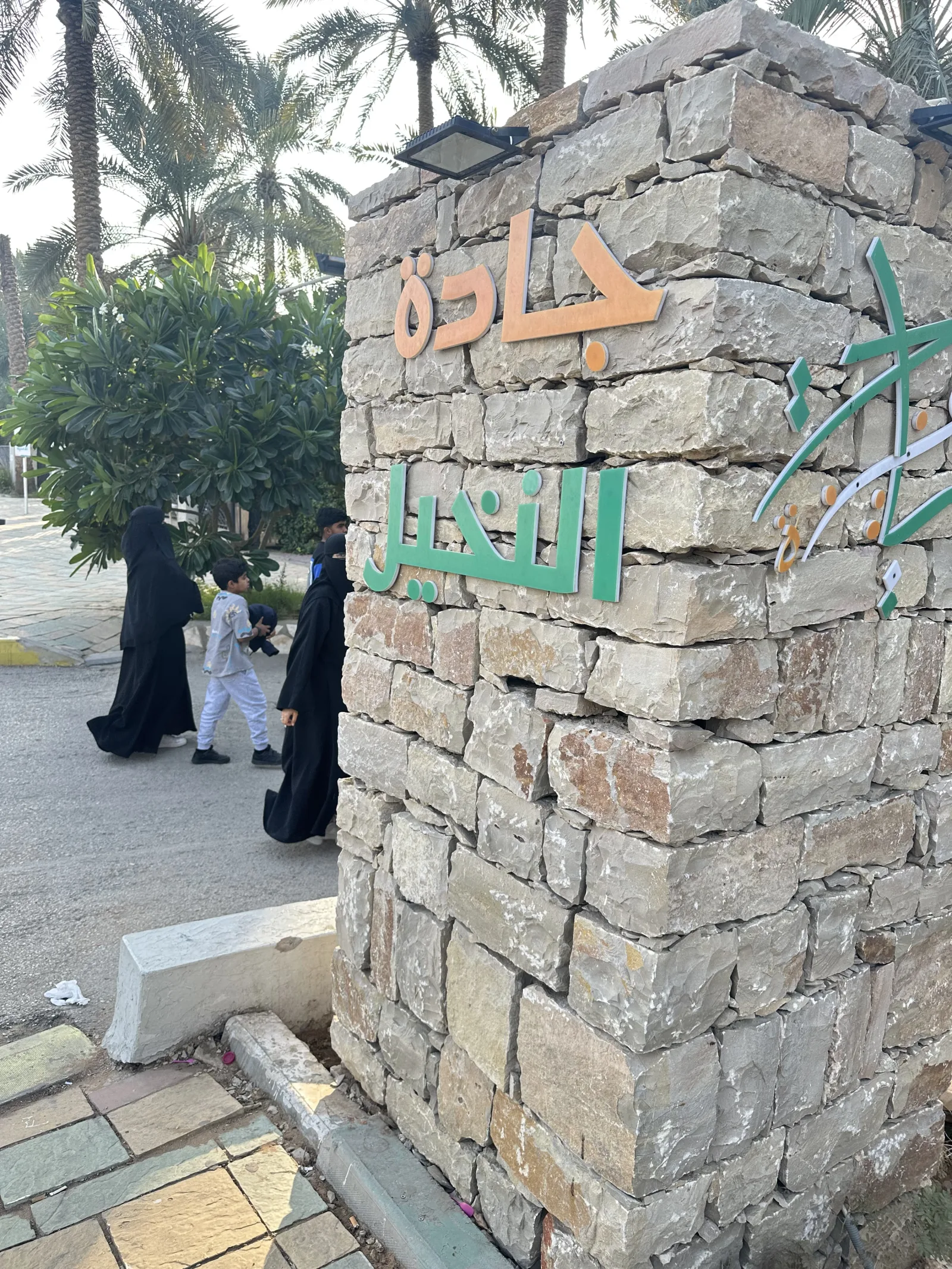 جادة النخيل بعنيزة