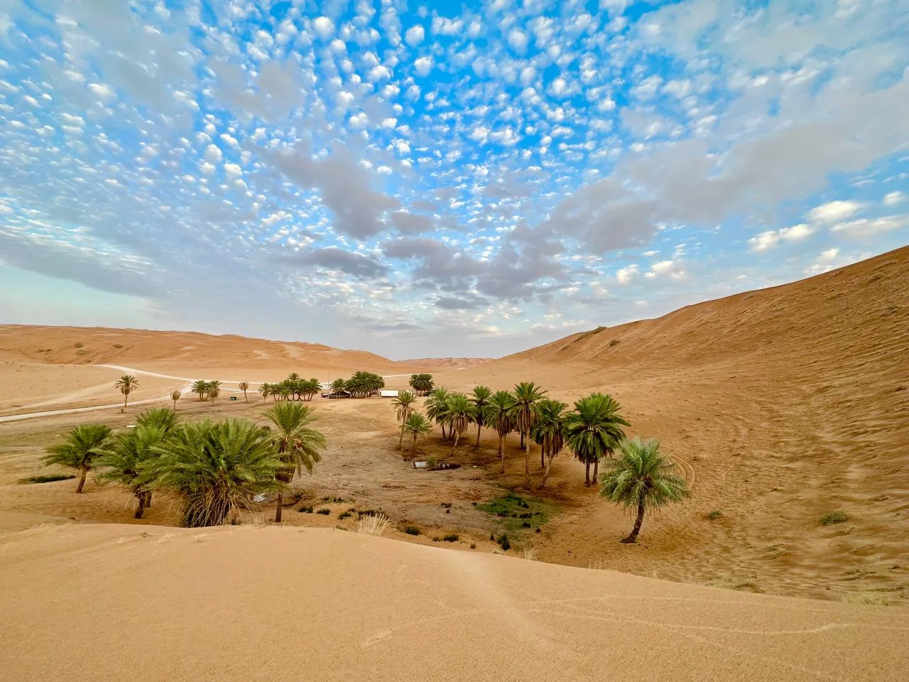 واحات المذنب