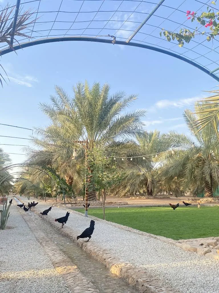 مزرعة ومنتجع أبوسيف بالمطية
