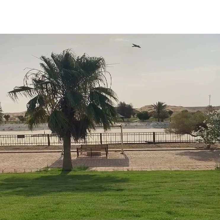 حديقة القوارة