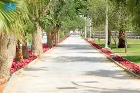 منتزه الإسكان
