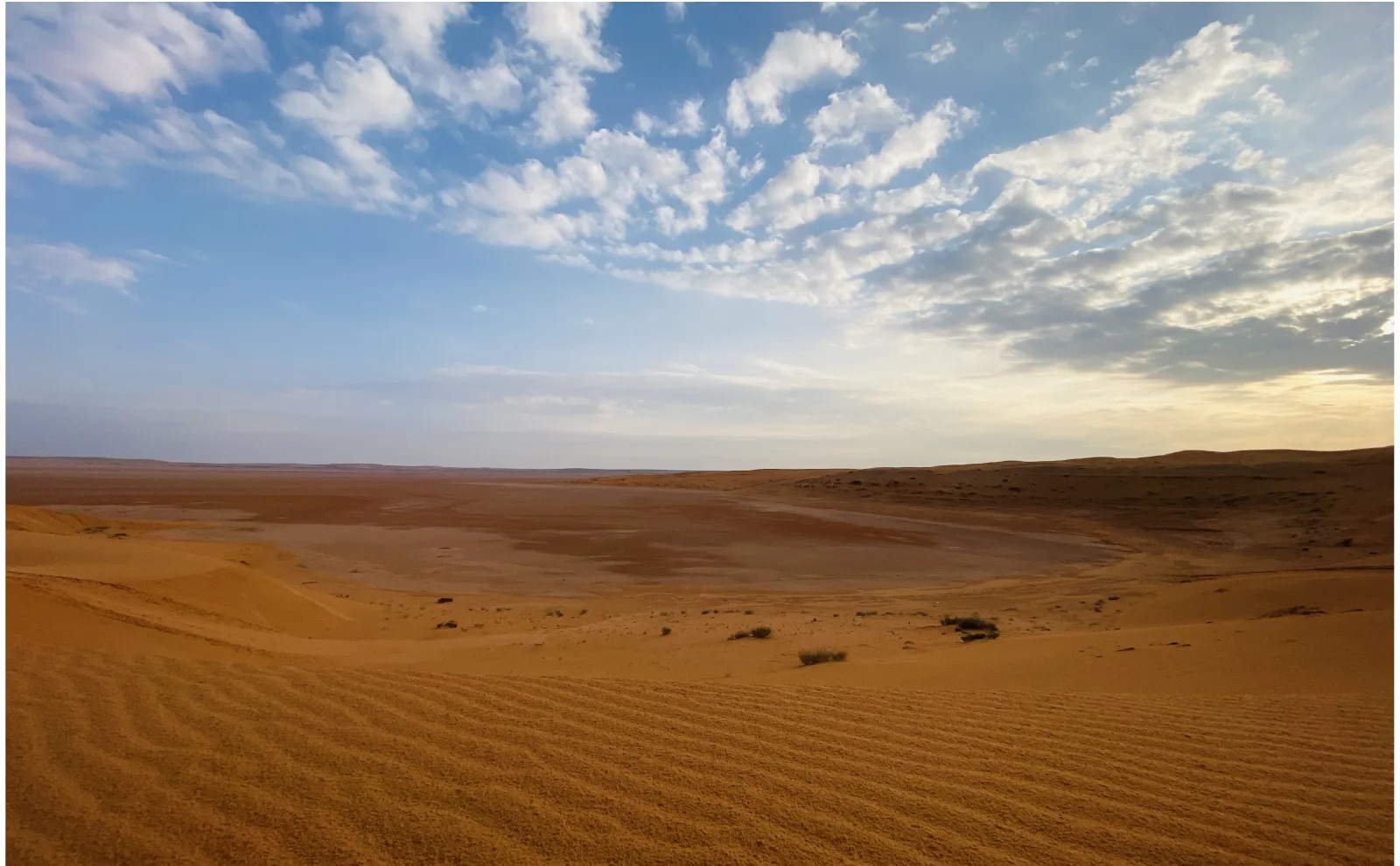 قاع المدرج