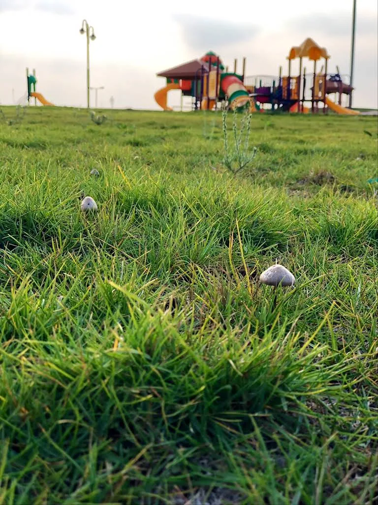 حديقة الضلفعة