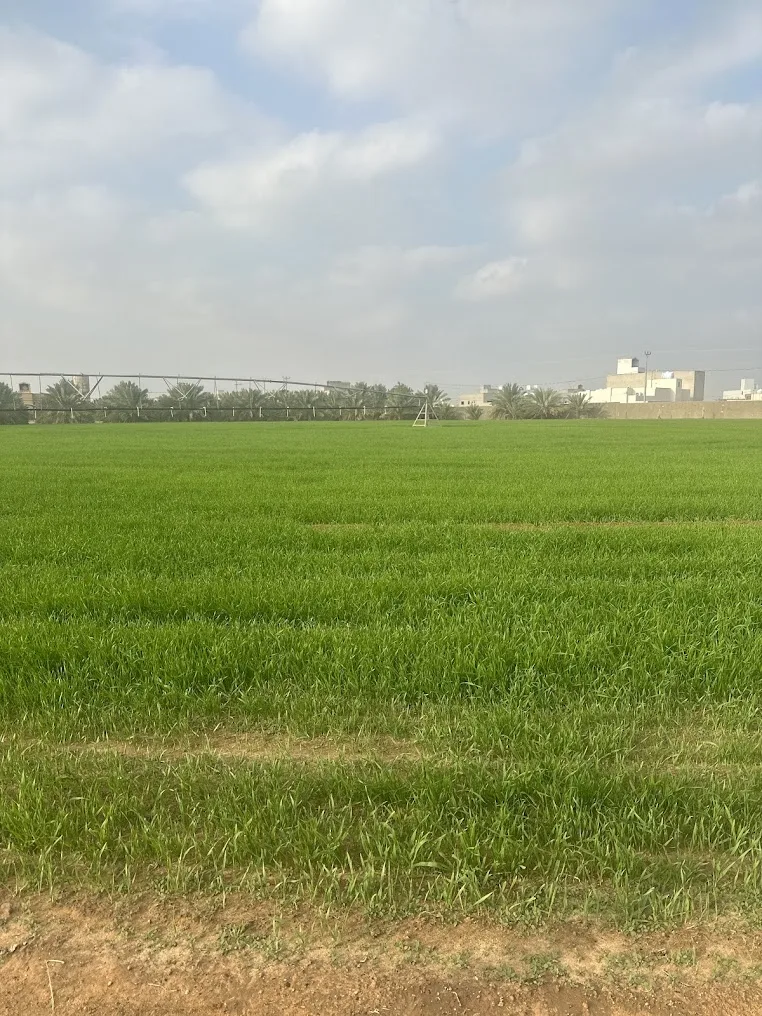 مزرعة الهاشمية بالخبراء