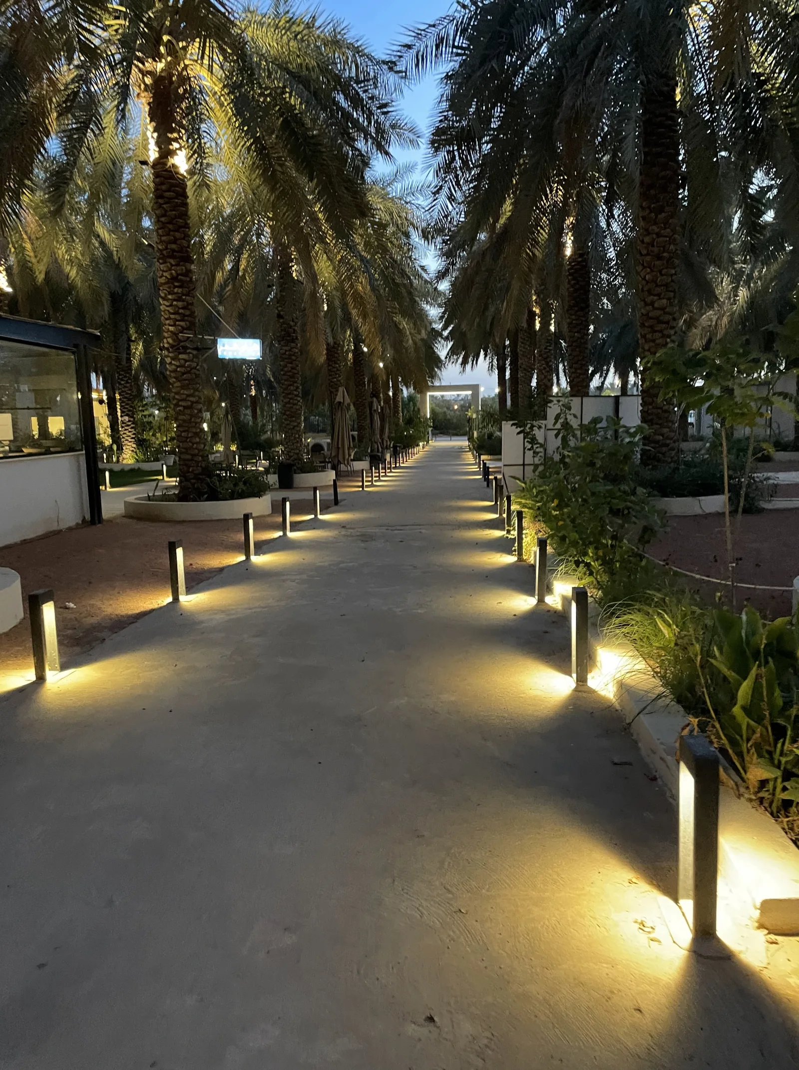 غضراء